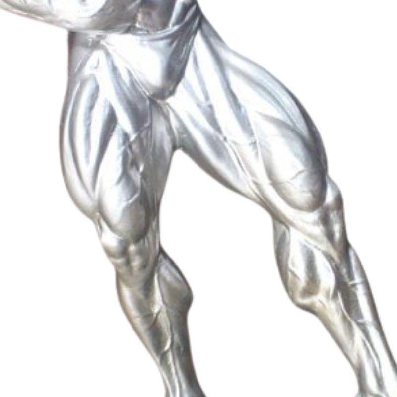 Statue Homme Musculation Pro