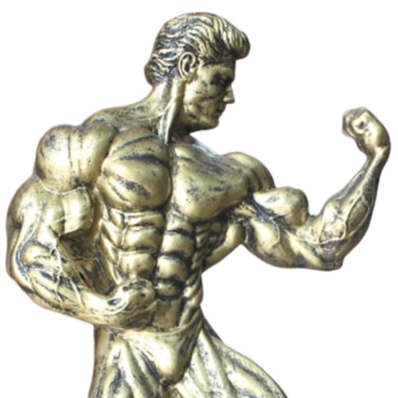 Statue Homme Musculation Pro