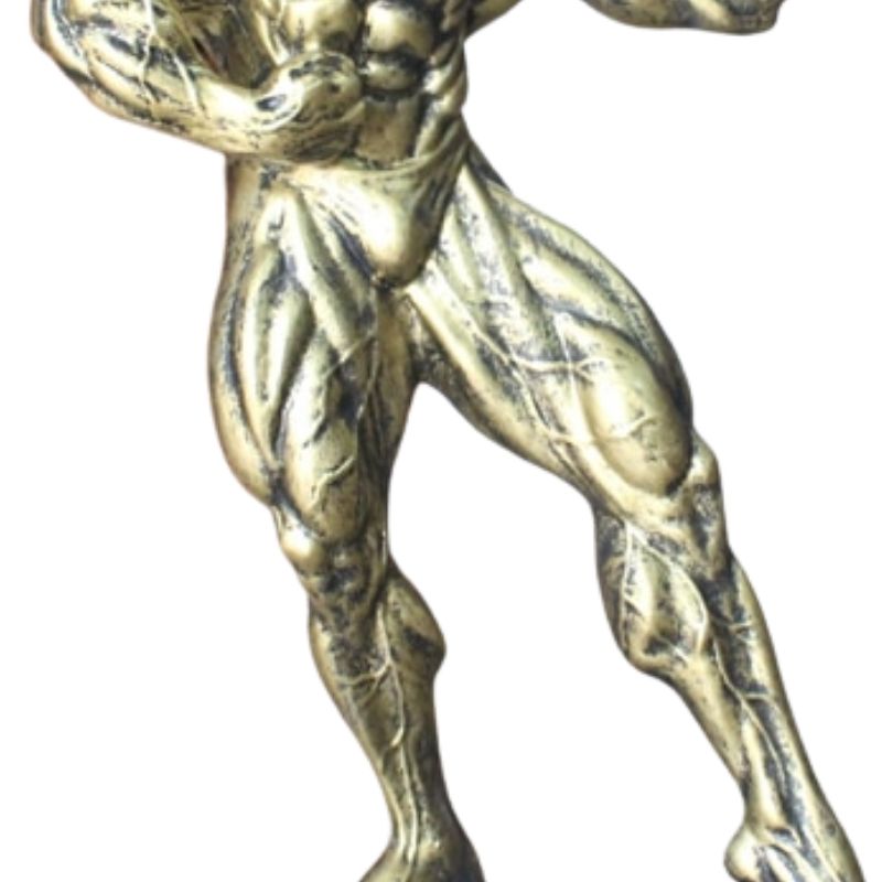 Statue Homme Musculation Pro