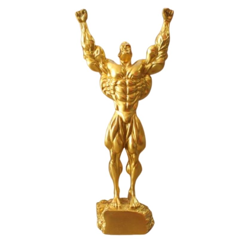Statue Homme Culturisme Pro
