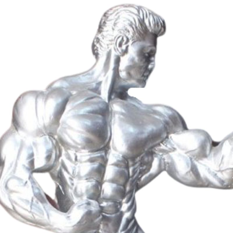 Statue Homme Musculation Pro