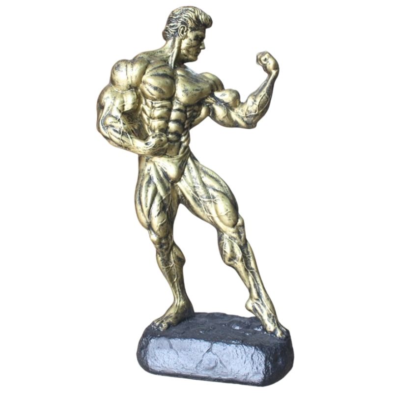 Statue Homme Musculation Pro