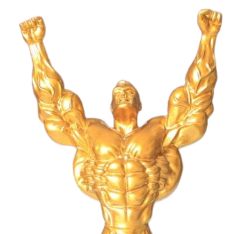 Statue Homme Culturisme Pro