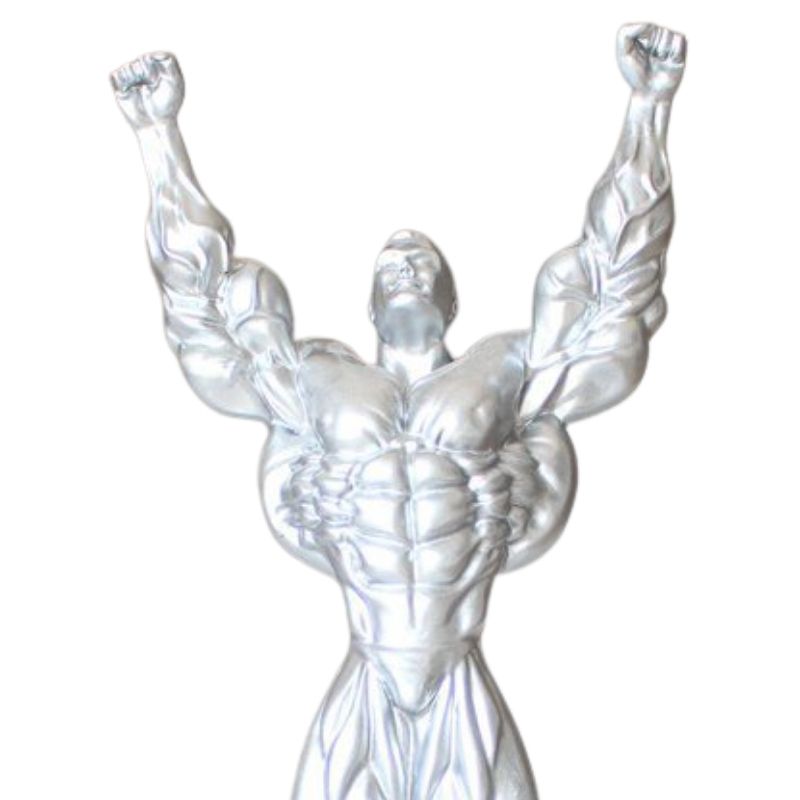Statue Homme Culturisme Pro