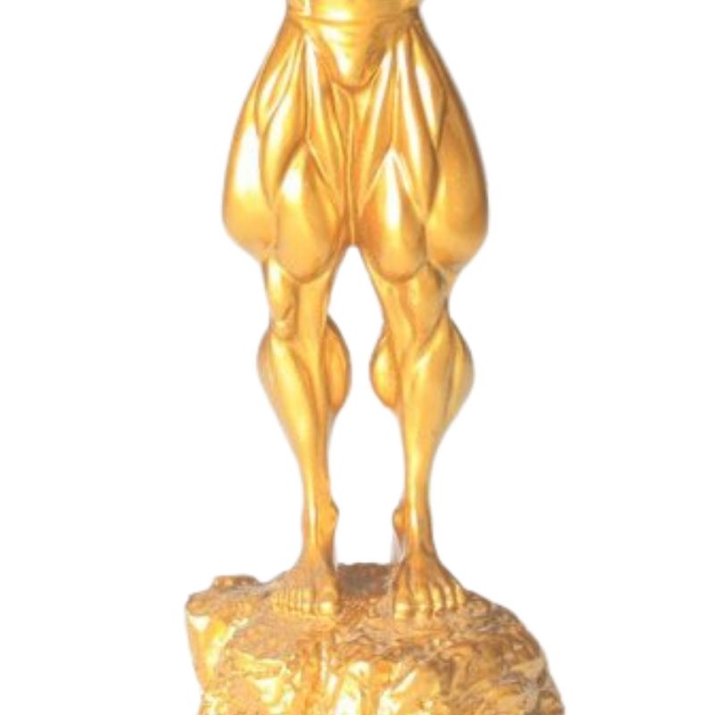 Statue Homme Culturisme Pro
